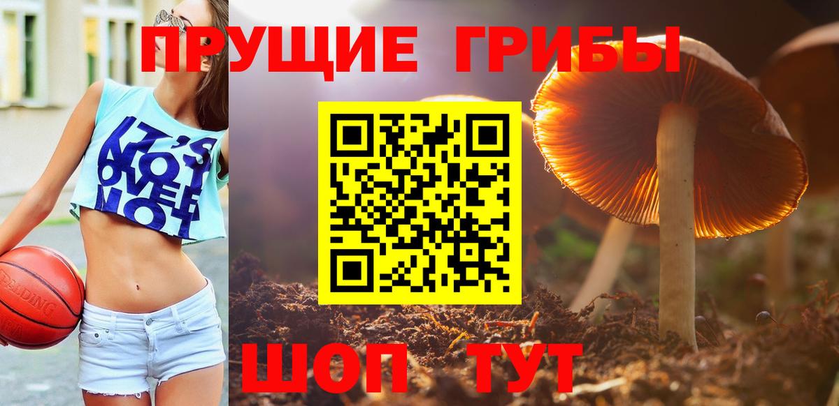 Псилоцибиновые грибы Magic Shrooms  Вход с VPN  Псилоцибиновые грибы прущие грибы  Котовск 